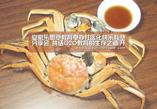 安徽乐思塾教育举办社区化快乐私塾分享会 共话O2O教育的生存之道|开云导航