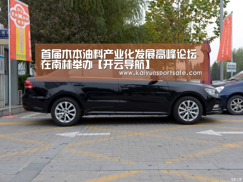 首届木本油料产业化发展高峰论坛在南林举办【开云导航】(图3) 开云赛事