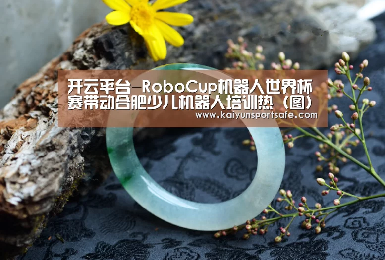 开云平台-RoboCup机器人世界杯赛带动合肥少儿机器人培训热(图)(图2) 开云体育
