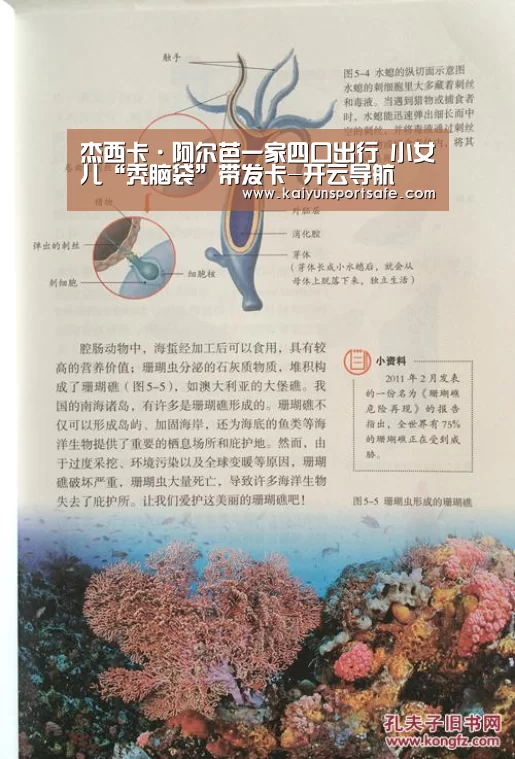 杰西卡·阿尔芭一家四口出行 小女儿“秃脑袋”带发卡-开云导航