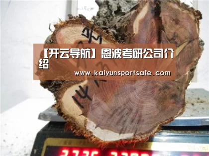 【开云导航】恩波考研公司介绍
